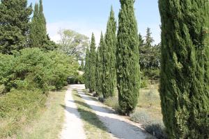 Maisons de vacances Le Mas Merindol Gite Ventoux : photos des chambres