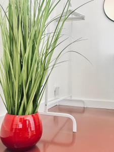 Appartements LANTON PLAGE - APPARTEMENT 6 PERS. TERRASSE : photos des chambres