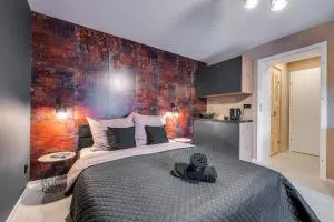 Loft House Apartment Studio z ogródkiem 1 - Czerwionka