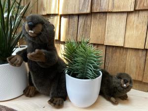 Appartements Castor Coquin Aubagne Cassis Aix en Provence : photos des chambres