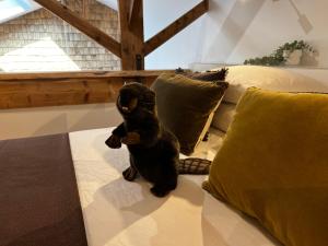 Appartements Castor Coquin Aubagne Cassis Aix en Provence : photos des chambres