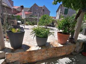 Apartments Ruža Vjetrova