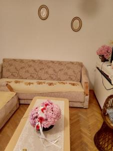 Apt Mima Ohrid