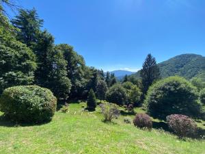 Appartamento Bianca