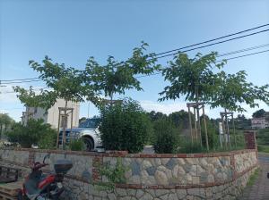 Feel Good Apartment Rab Mundanije 131