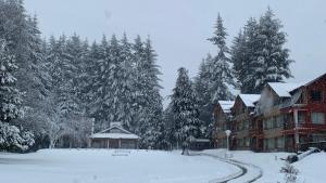 Unquehue Apartamentos Dormis