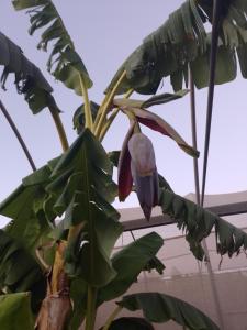 Agriturismo Isidoro img41