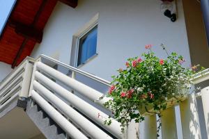 Apartment Anna Maria 