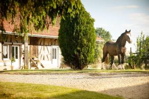 Maisons d'hotes La ferme de la chassagne : photos des chambres