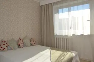 Haava 4 apartment - Herjava