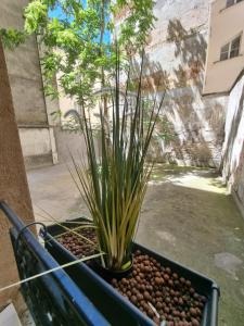 Cosy studio in heart of Montmartre