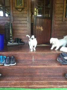 Cottage Ravna Rijeka