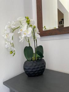 Sorinas Home - Comfortable Apartment near Graz - Free Parking