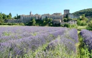 Maisons de vacances Stone house in the medieval village of Montclus (Gard) : photos des chambres