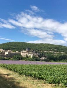 Maisons de vacances Stone house in the medieval village of Montclus (Gard) : photos des chambres