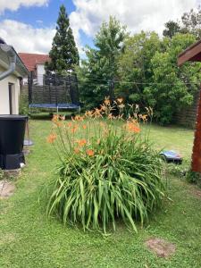 Ferienhaus Stralsundia