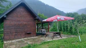 Tiny house Casa Axa