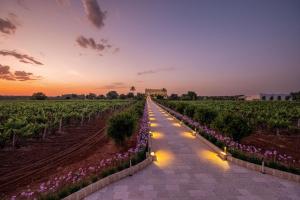 Tenuta Rocci Cerasoli