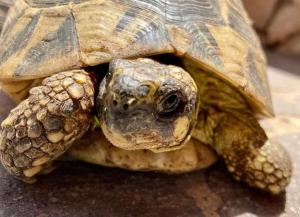 B&B Il Sentiero img49