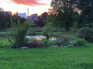 Stovyklavietė „Varlium pastauninks“