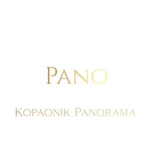 Pano Kopaonik Panorama