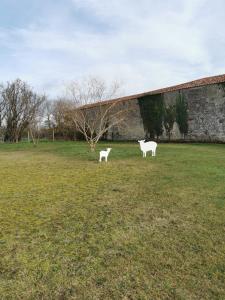 B&B / Chambres d'hotes Au domaine de Gigie : photos des chambres