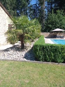 B&B / Chambres d'hotes La Roussilhe : photos des chambres