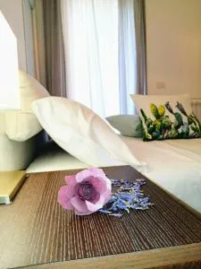 Macallé - Santa Lucia