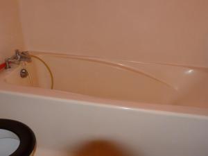 Appartement duplex 8 pers, skis aux pieds, animaux acceptés - FR-1-411-383