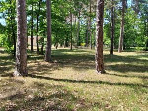 Camping Onlycamp Les Pins