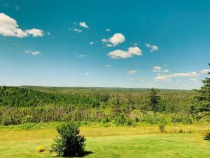 Eagle Valley Cottages