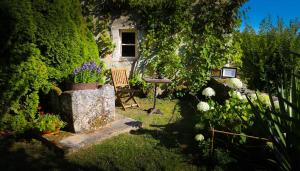 B&B / Chambres d'hotes Chambre jaune MANOIR DE LA VOVE Perche : photos des chambres