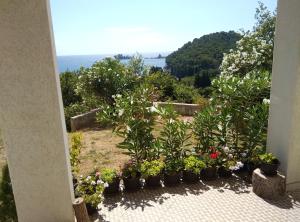 LUČICE - 2025 - PETROVAC, Prijevorac, BB - Apartment - OXANA - Stan 1