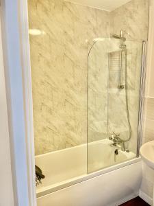 Pochin House Collections