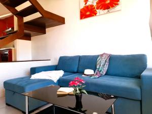 El cortijo, pool view