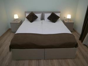 Luxury Apartment at Pirosmani 22 in central Borjomi