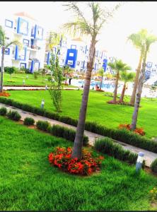 Kariat Cabo - Apartment in Cabo negro