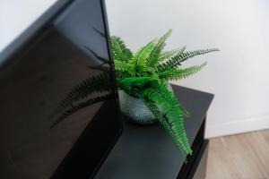 Acqua - by MyHomeinComo