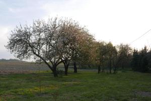 Róże i Jabłonie Agroturystyka