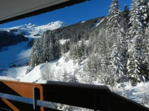 Appartement 2 Pièces Cabine au Pied des Pistes avec Balcon et Ascenseur - FR-1-557A-3