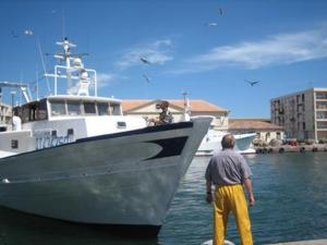 Appartement T2 à Sète avec vue Marina et parking privé pour 4 pers - FR-1-472-111