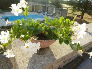 B&B / Chambres d'hotes Le Mas de Caroline : photos des chambres