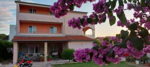 Apartments Tomic