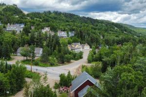 Chalet du Sommet- Pet Friendly- SPA- St-Côme