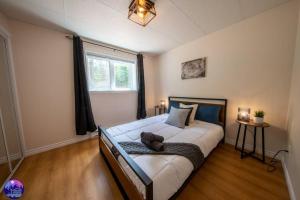 Chalet du Sommet- Pet Friendly- SPA- St-Côme