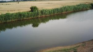 Agroturystyka u Rolnika - Apartament