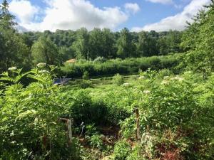 Maisons de vacances Cottage chaleureux situe en pleine nature ! : photos des chambres