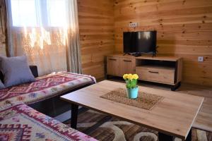 Durmitor view - Bungalow