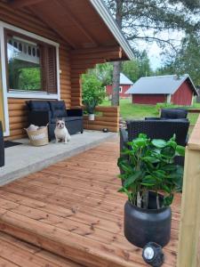 Hirsimökki ja makuuaitta