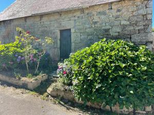 Maisons de vacances Gite de caractere, proche Quimper : photos des chambres